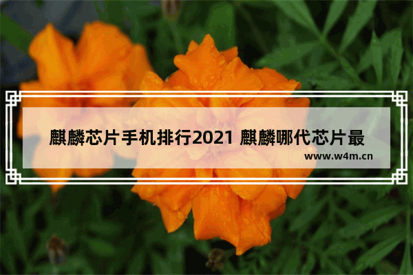 麒麟芯片手机排行2021 麒麟哪代芯片最好