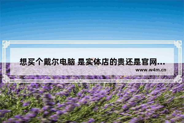 想买个戴尔电脑 是实体店的贵还是官网的贵 不考虑淘宝 京东之类的 实体店什么品牌的电脑好