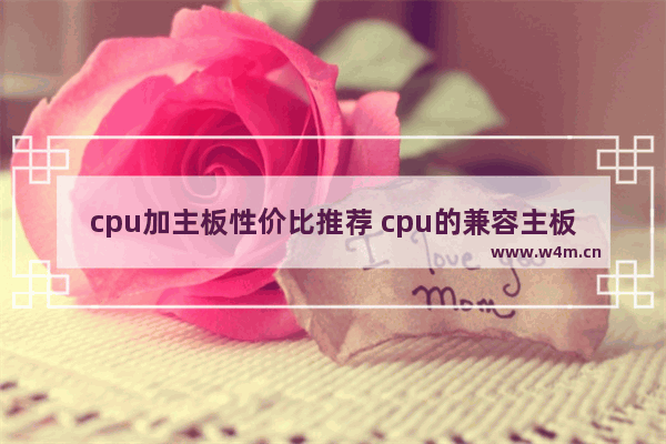 cpu加主板性价比推荐 cpu的兼容主板