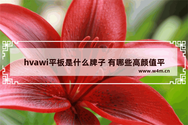 hvawi平板是什么牌子 有哪些高颜值平板电脑品牌