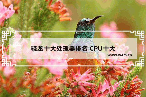 骁龙十大处理器排名 CPU十大