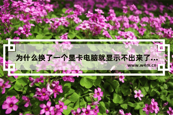 为什么换了一个显卡电脑就显示不出来了 换回原来的也一样 电脑不能识别显卡