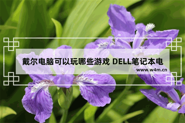 戴尔电脑可以玩哪些游戏 DELL笔记本电脑游戏