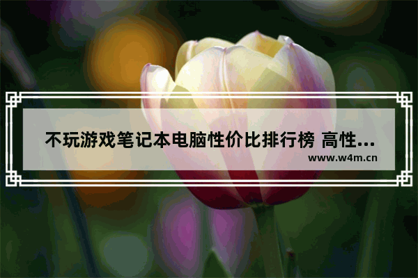 不玩游戏笔记本电脑性价比排行榜 高性价比笔记本电脑游戏