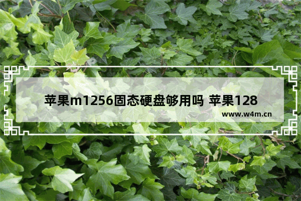 苹果m1256固态硬盘够用吗 苹果128g固态硬盘够用吗