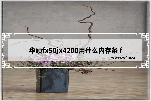 华硕fx50jx4200用什么内存条 fx50jx4200加固态硬盘