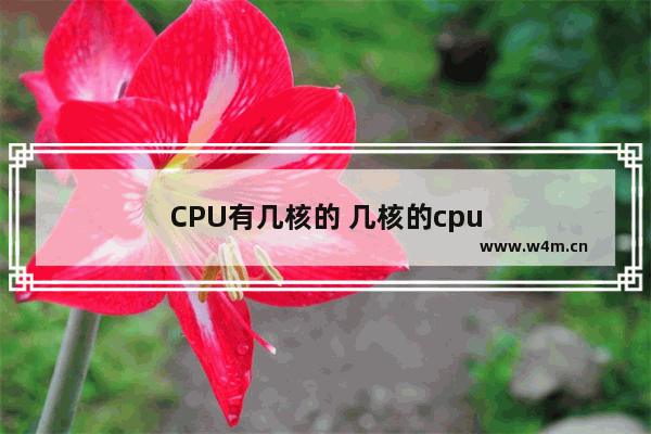 CPU有几核的 几核的cpu