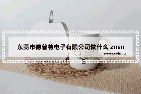 东莞市德普特电子有限公司做什么 znsn开关是啥品牌