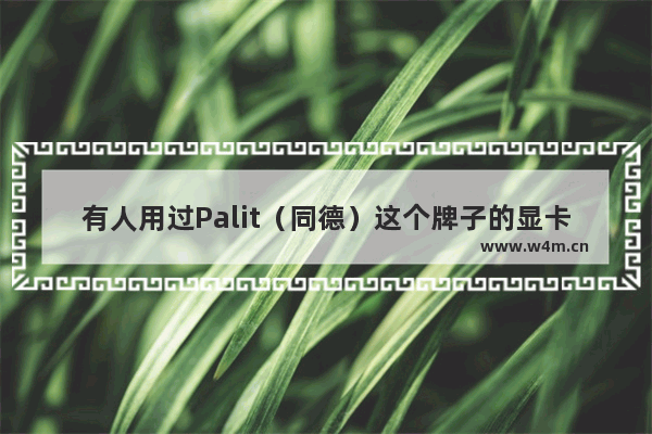 有人用过Palit（同德）这个牌子的显卡吗 铭瑄显卡代工