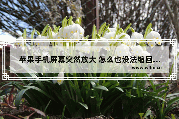 苹果手机屏幕突然放大 怎么也没法缩回来了 没法打电话 也没法关机 是不是中病毒了啊 该怎么办呢 显示器咋揍了