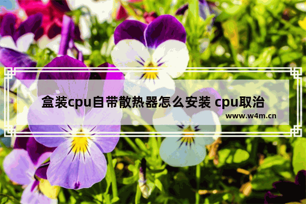 盒装cpu自带散热器怎么安装 cpu取治具