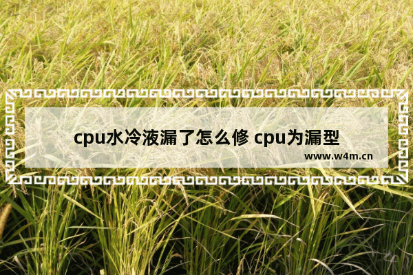 cpu水冷液漏了怎么修 cpu为漏型