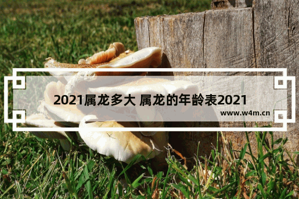 2021属龙多大 属龙的年龄表2021