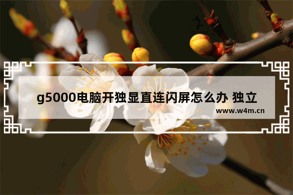 g5000电脑开独显直连闪屏怎么办 独立显卡闪屏