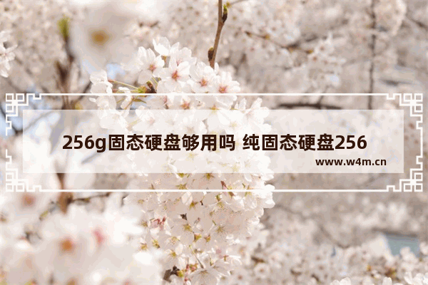 256g固态硬盘够用吗 纯固态硬盘256g够用吗