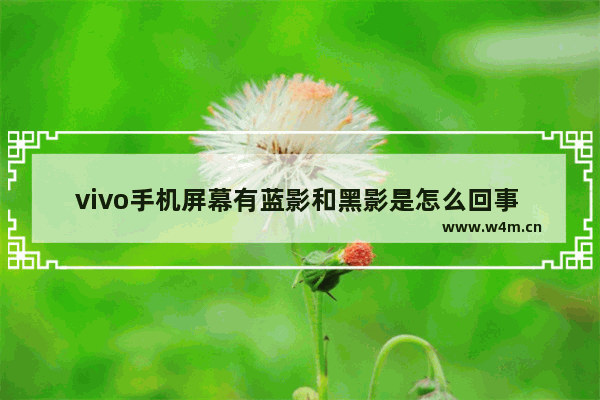 vivo手机屏幕有蓝影和黑影是怎么回事 显示器蓝影