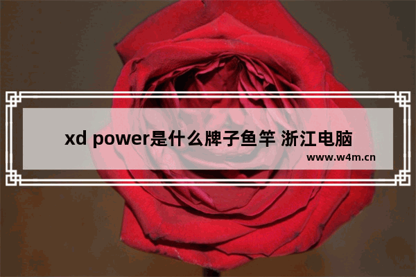 xd power是什么牌子鱼竿 浙江电脑绕线机品牌有哪些