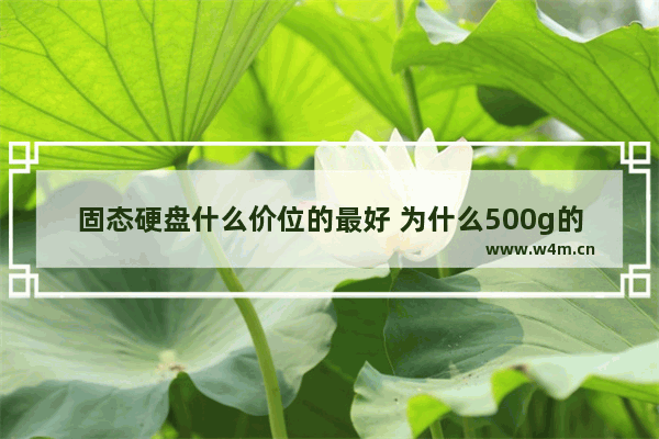 固态硬盘什么价位的最好 为什么500g的固态只有100g