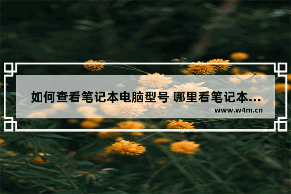 如何查看笔记本电脑型号 哪里看笔记本电脑型号