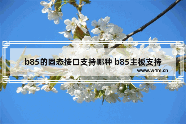 b85的固态接口支持哪种 b85主板支持固态硬盘吗