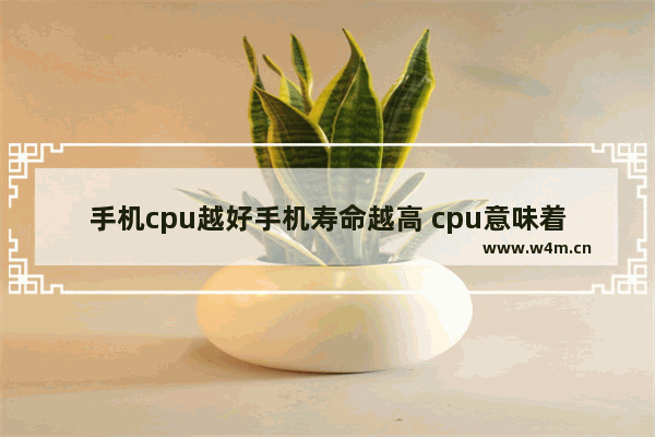 手机cpu越好手机寿命越高 cpu意味着