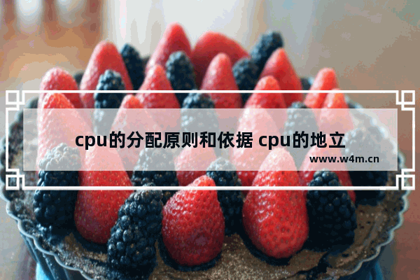 cpu的分配原则和依据 cpu的地立