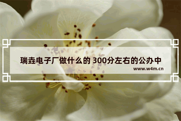 瑞垚电子厂做什么的 300分左右的公办中专有哪些