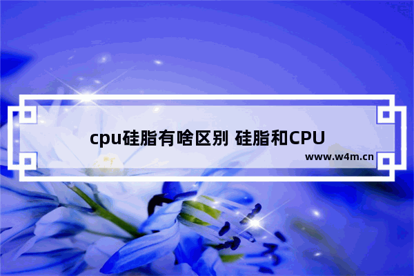 cpu硅脂有啥区别 硅脂和CPU