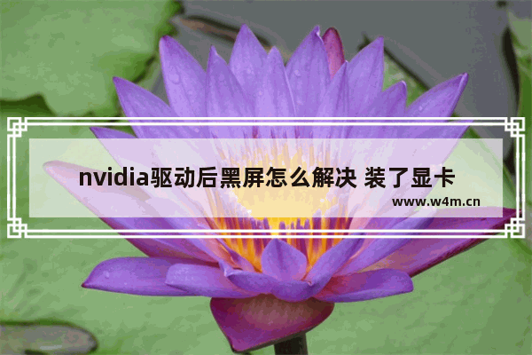 nvidia驱动后黑屏怎么解决 装了显卡驱动后黑屏