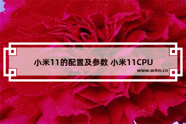 小米11的配置及参数 小米11CPU