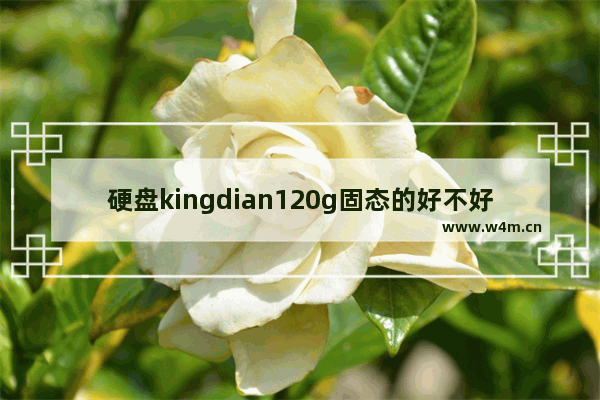 硬盘kingdian120g固态的好不好 120g三星固态硬盘价格