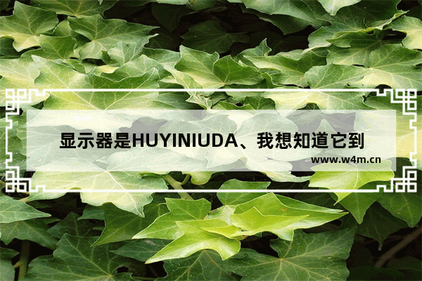 显示器是HUYINIUDA、我想知道它到底是个什么牌子 是不是韩国现代的盗版 航代显示器