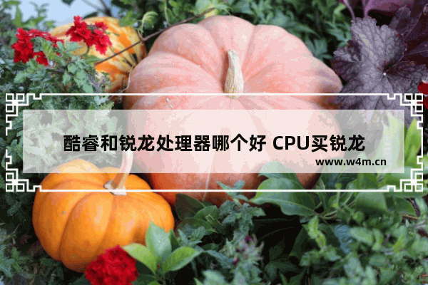 酷睿和锐龙处理器哪个好 CPU买锐龙