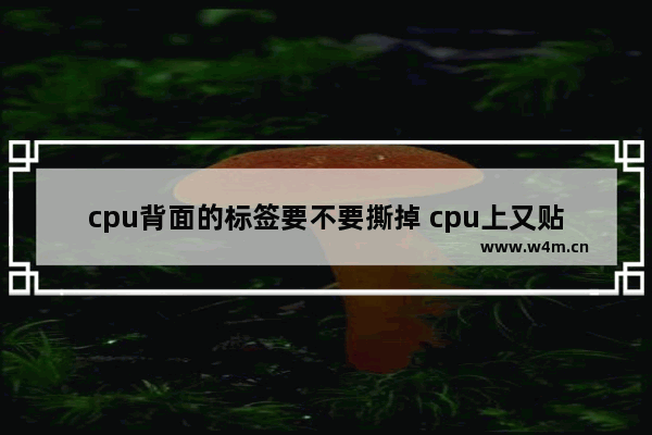 cpu背面的标签要不要撕掉 cpu上又贴