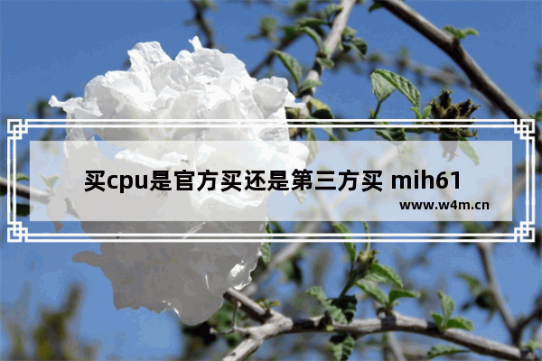 买cpu是官方买还是第三方买 mih61rmb主板匹配哪些cpu