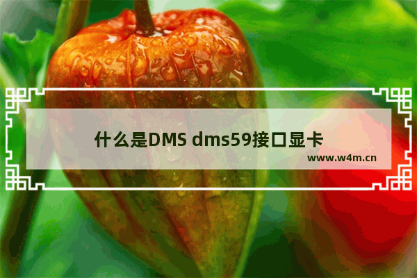 什么是DMS dms59接口显卡