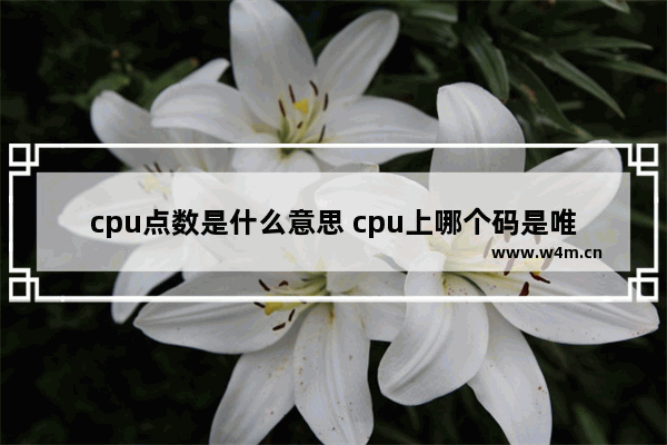 cpu点数是什么意思 cpu上哪个码是唯一的