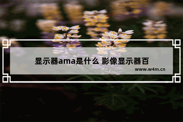 显示器ama是什么 影像显示器百