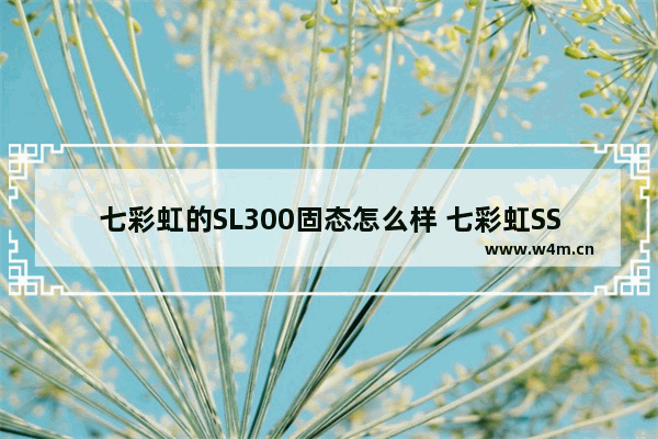 七彩虹的SL300固态怎么样 七彩虹SSD固态硬盘怎么样