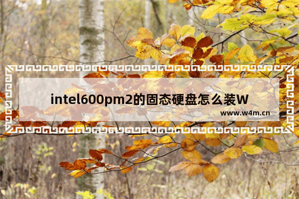 intel600pm2的固态硬盘怎么装WIN7 ssd固态硬盘装win7系统教程