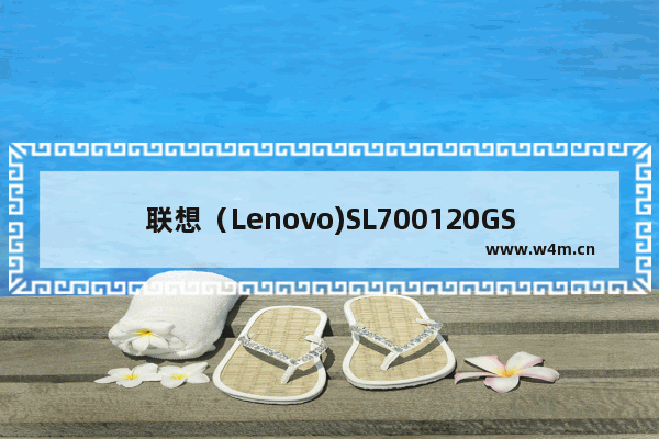 联想（Lenovo)SL700120GSATA3闪电鲨系列SSD固态硬盘 影驰铁甲战将240g固态硬盘