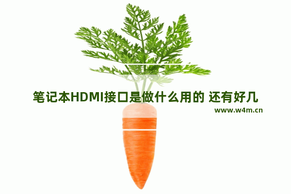 笔记本HDMI接口是做什么用的 还有好几种接口 我全都不知道 谁能告知 笔记本电脑hdmi接口能输入吗