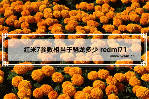 红米7参数相当于骁龙多少 redmi71.8ghz处理器怎么样