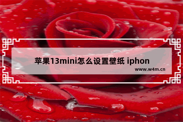 苹果13mini怎么设置壁纸 iphone 13动态壁纸怎么设置