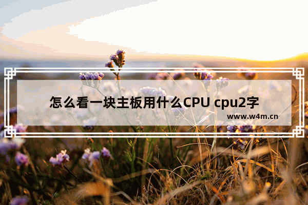 怎么看一块主板用什么CPU cpu2字