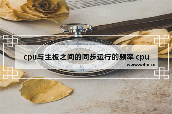 cpu与主板之间的同步运行的频率 cpu同步率