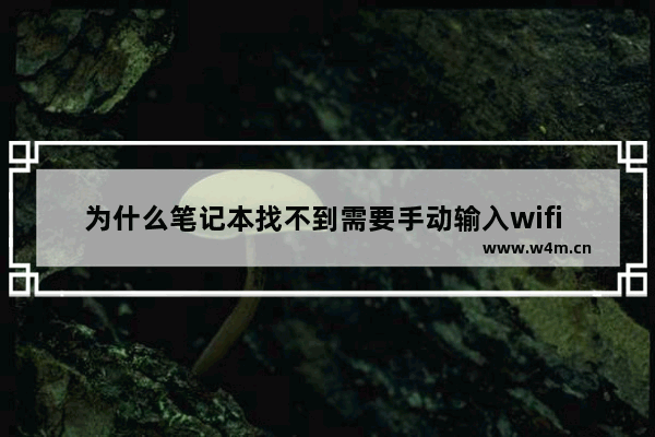 为什么笔记本找不到需要手动输入wifi 笔记本电脑没有连接wifi的选项怎么办