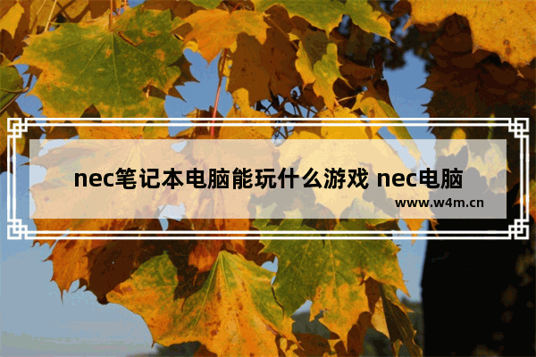 nec笔记本电脑能玩什么游戏 nec电脑是游戏电脑嘛