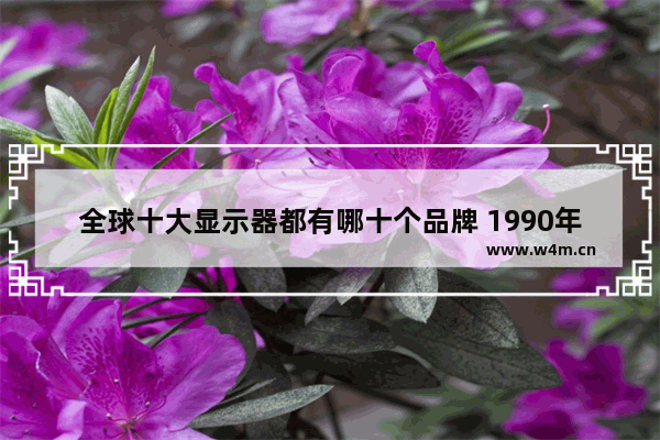 全球十大显示器都有哪十个品牌 1990年电脑显示器品牌