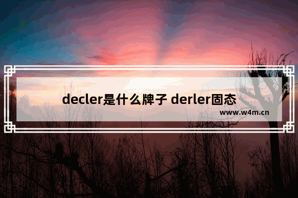 decler是什么牌子 derler固态硬盘